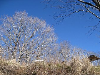 菜畑山　山頂