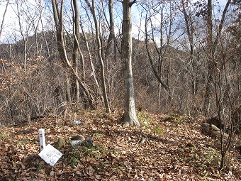 植野山　山頂