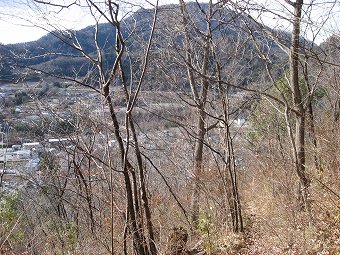 高川山見つつ