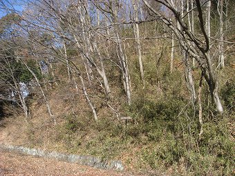 馬立山　登山口