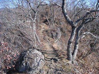 菊花山へ