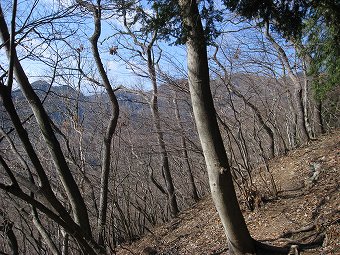 左に檜岳山稜