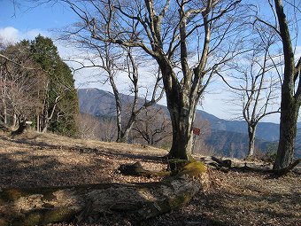 櫟山山頂