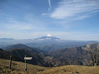 塔ノ岳の富士山