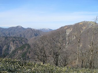 大室山にも霧氷