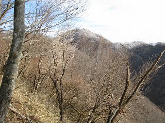 塔ノ岳にも霧氷