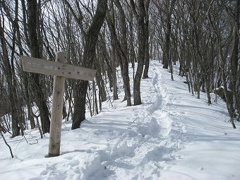 三頭山へ