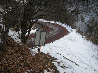 けやきの路へ