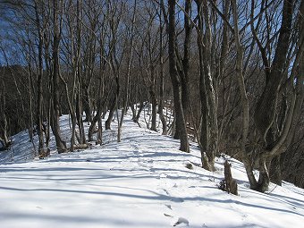 雪道