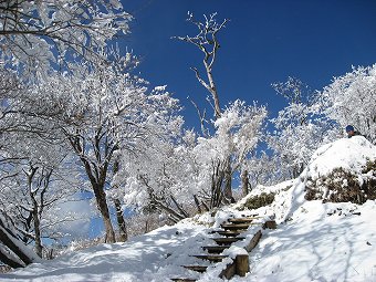 霧氷