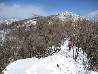 塔ノ岳へ