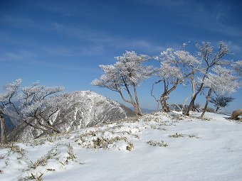 棚沢ノ頭