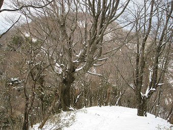 袖平山へ