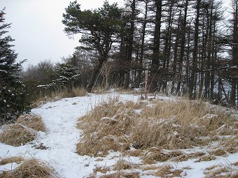 袖平山　山頂