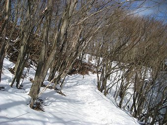 焼山へ