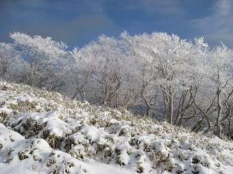 霧氷