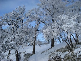 不動ノ峰へ