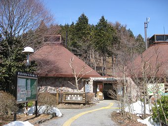 森林学習　展示館