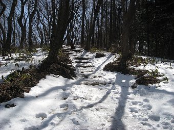 残雪あり