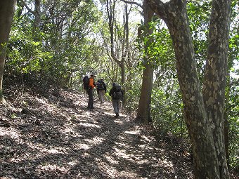 徳倉山（象山）の背あたり