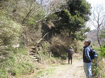 香貫山展望台・桜台　分岐