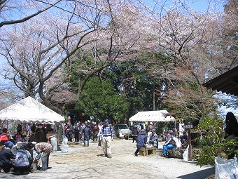 弘法山　山頂