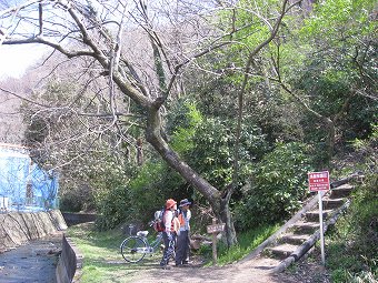 弘法山ハイキングコース