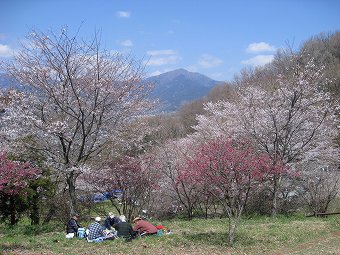 大山