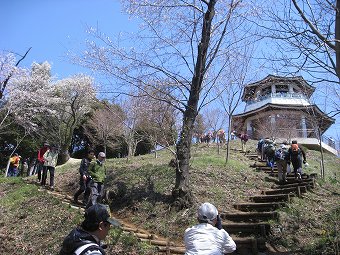 権現山