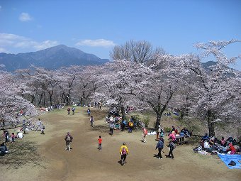 権現山の山頂から