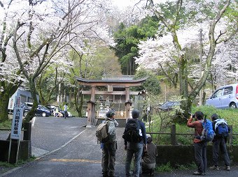 高尾スミレオフ