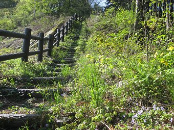 登山口から