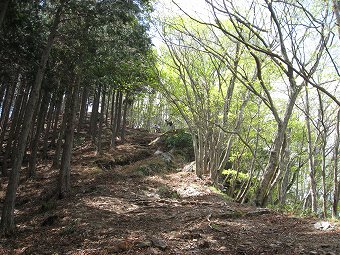 蕨山へ