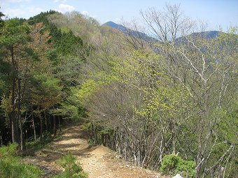 蕨山　1033m