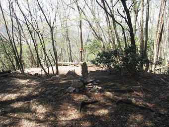 蕨山最高点