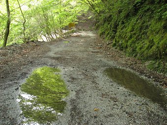 玄倉林道