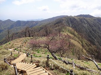 丹沢山へ