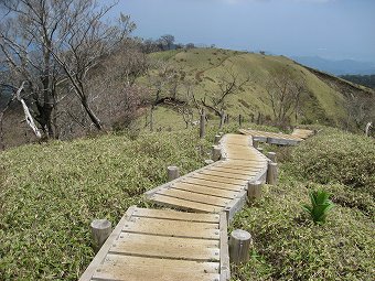 丹沢の木道