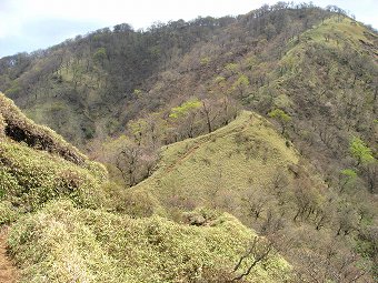 丹沢山へ