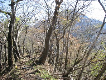 蛭ヶ岳へ