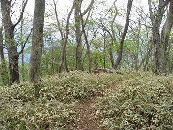 北尾根分岐ピーク