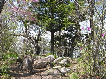 金ヶ岳・南峰