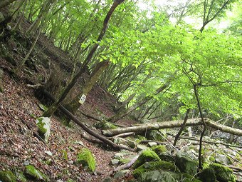 急登始まり