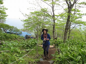 青ヶ岳山荘