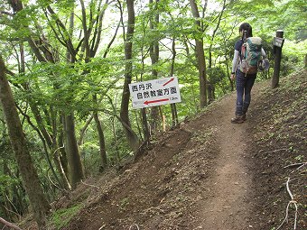 新道・本道　分岐