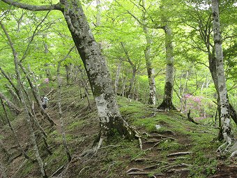 石棚山稜