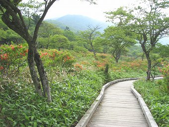 地蔵岳見つつ