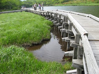 木組橋