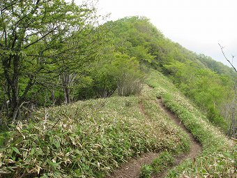 駒ヶ岳へ