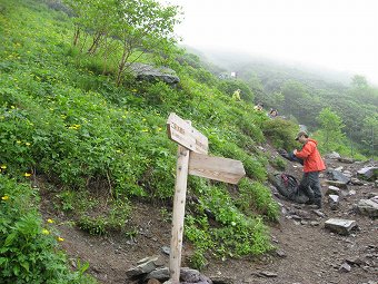 草すべり分岐